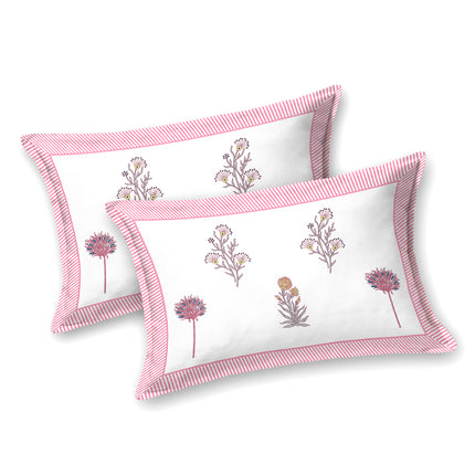 AANGAN 300TC PURE COTTON KING SIZE BEDSHEET WITH 2 PILLOW COVERS