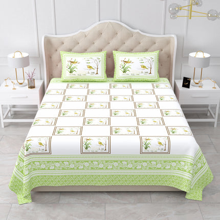 AANGAN 300TC PURE COTTON KING SIZE BEDSHEET WITH 2 PILLOW COVERS