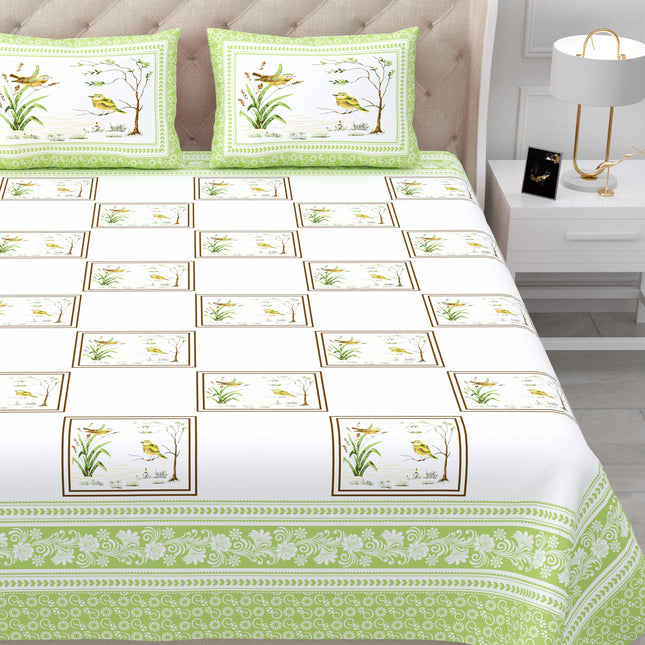 AANGAN 300TC PURE COTTON KING SIZE BEDSHEET WITH 2 PILLOW COVERS
